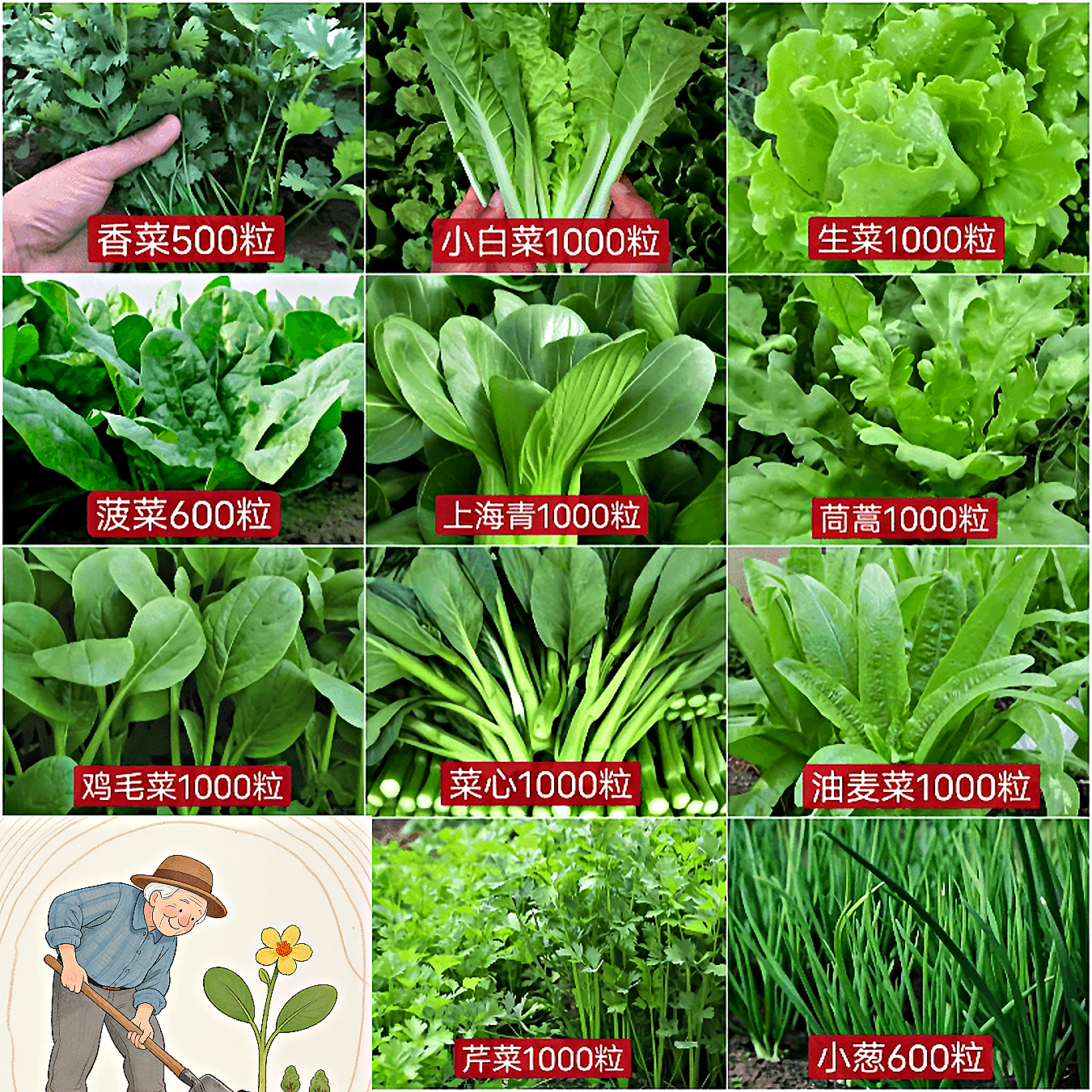 【全店满5包包邮】11种蔬菜种子组合套餐四季阳台盆栽绿植庭院易种