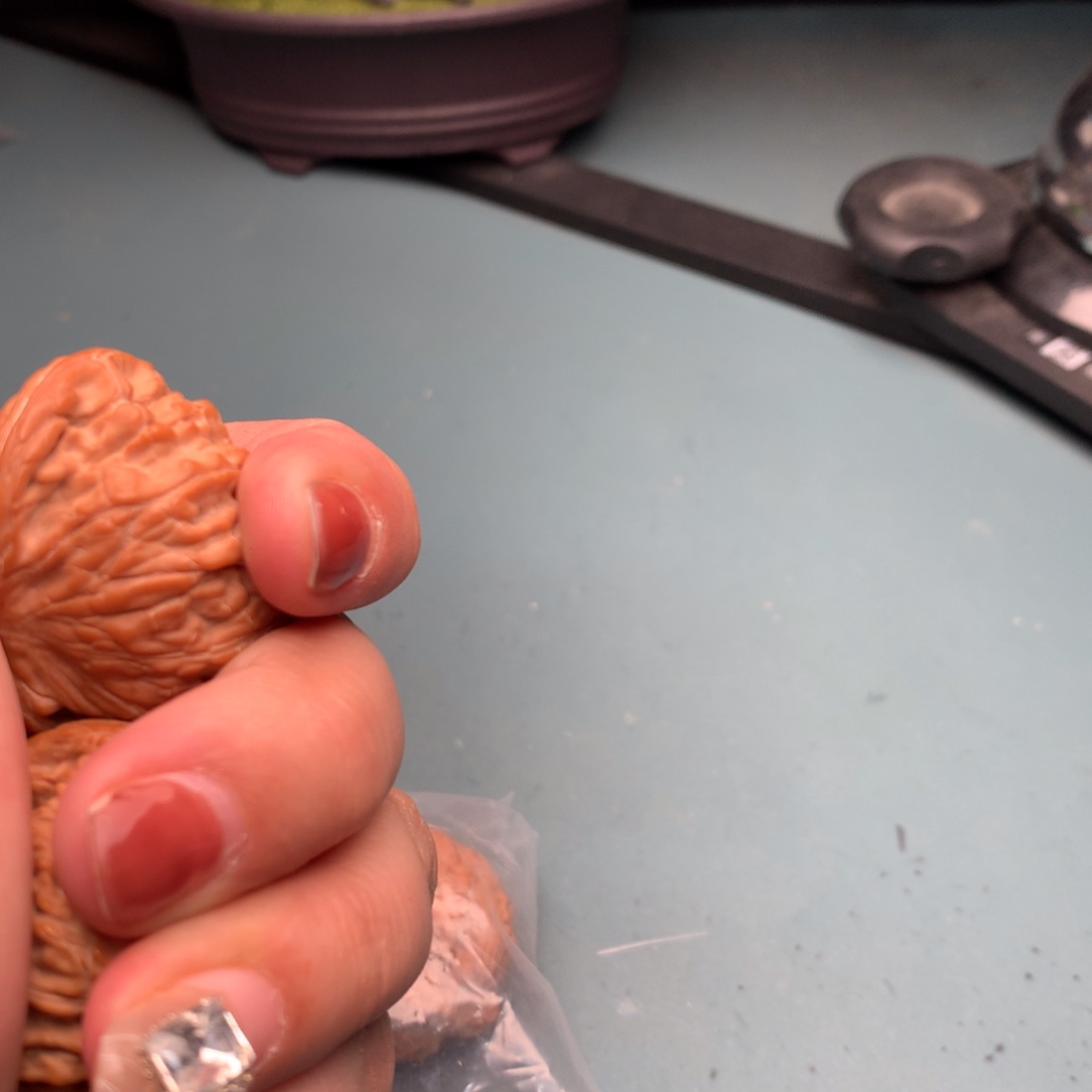 文玩核桃把件磨盘4243不是正磨