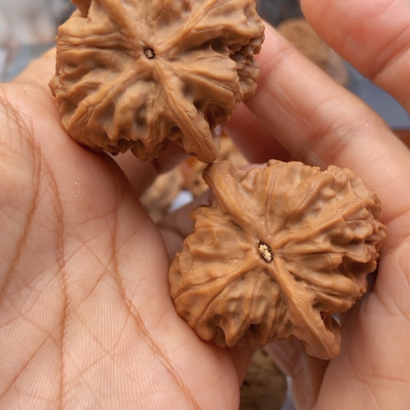 【闪购商品】文玩核桃把件顺****神42野狼全品