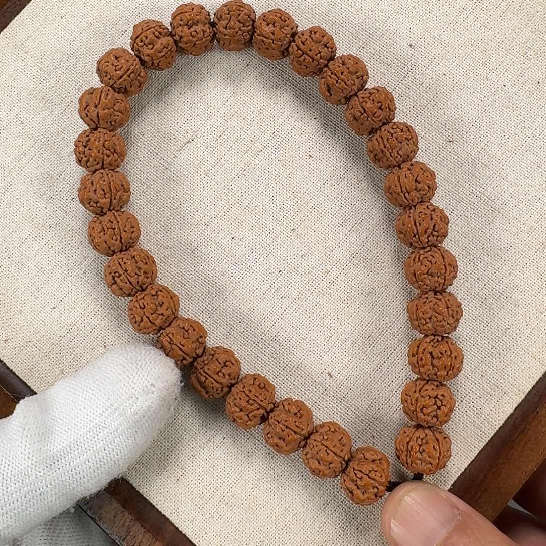 金刚菩提手串张*宾龙鳞梅花12+