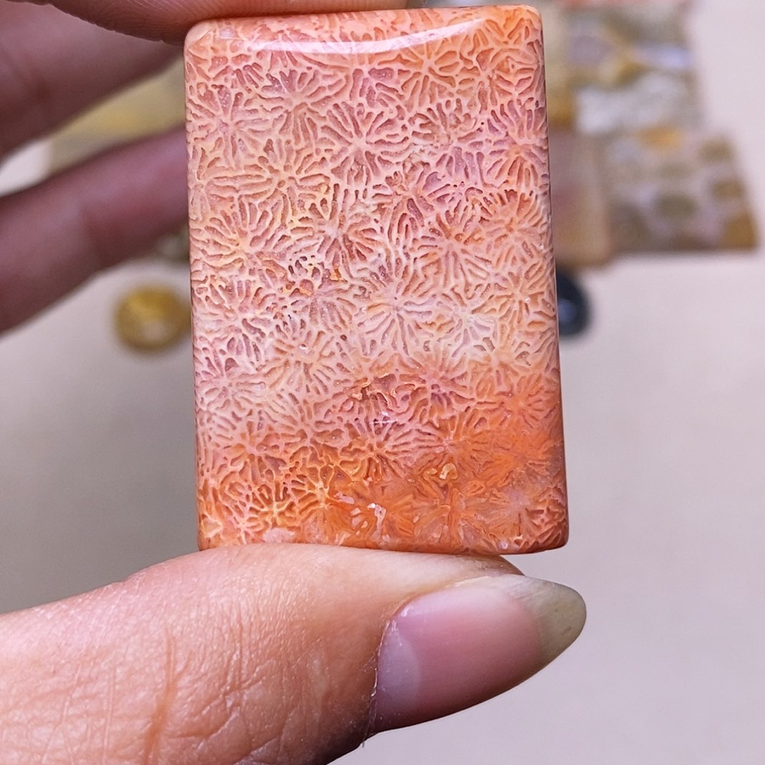 瑾***硅化玉合金珊瑚玉