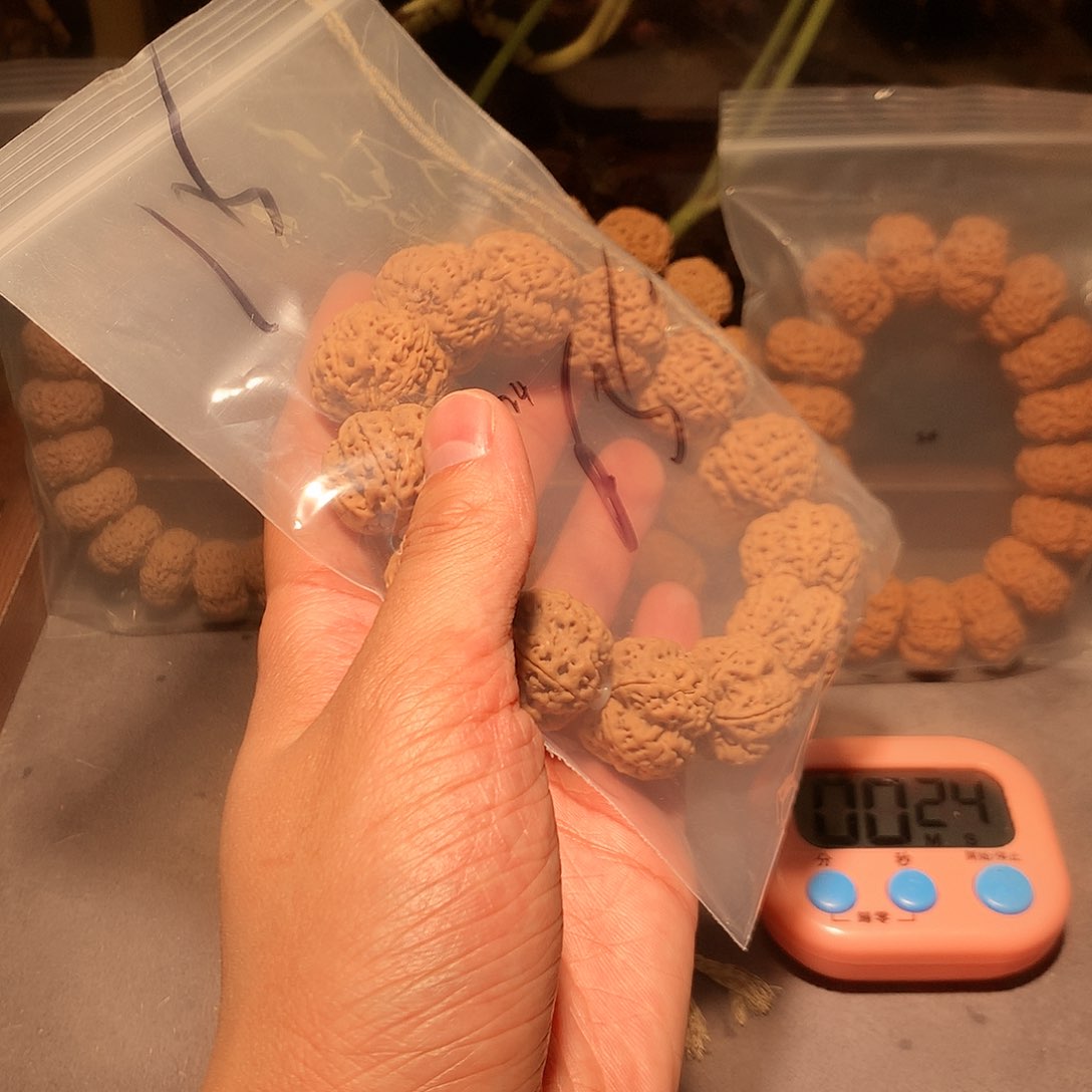 金刚菩提手串敖**下15。      