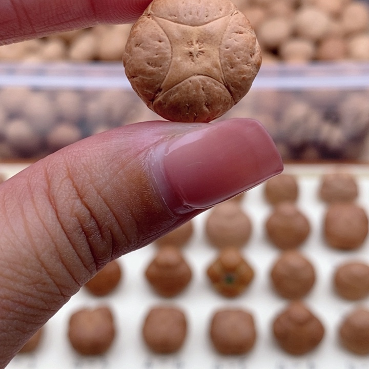 吊坠凤眼菩提麒麟