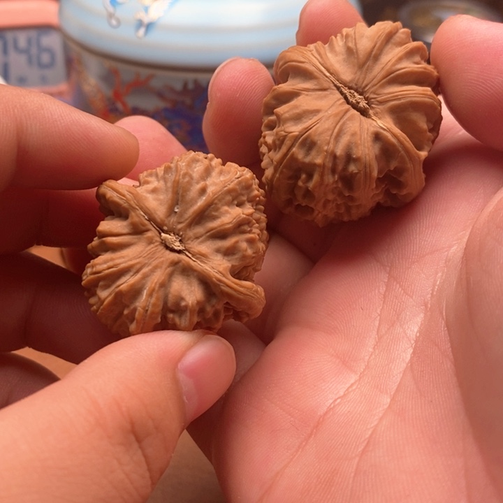 蛤蟆叫我起床吃早餐