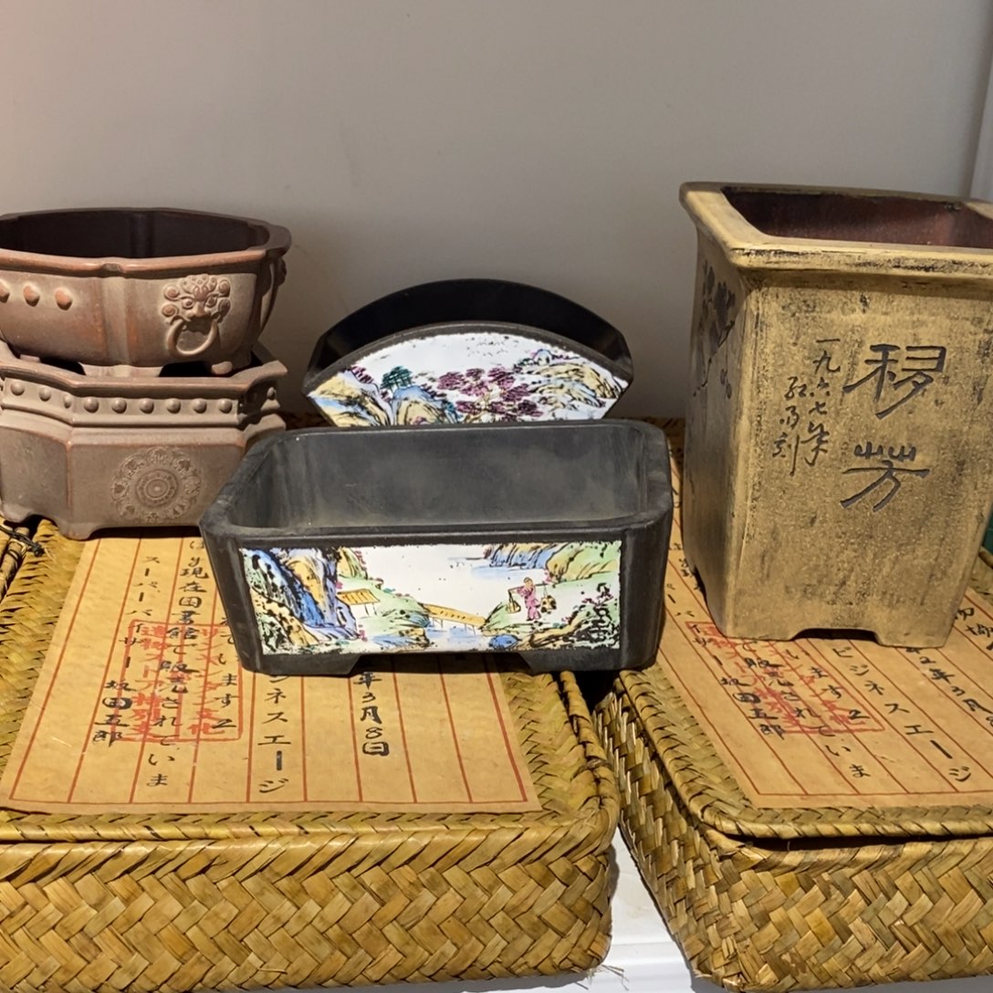 子***8玫瑰花园的味道。玫瑰花园里