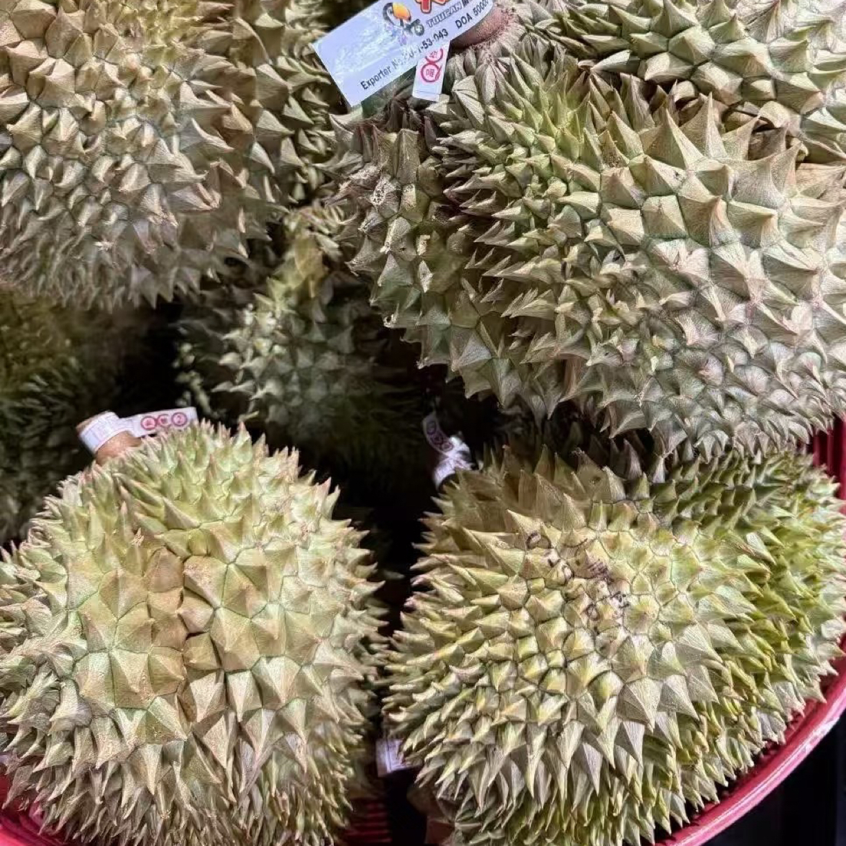 【明日达A果保4-5房】泰国空运新鲜金枕榴莲g不保核大小金枕泰国