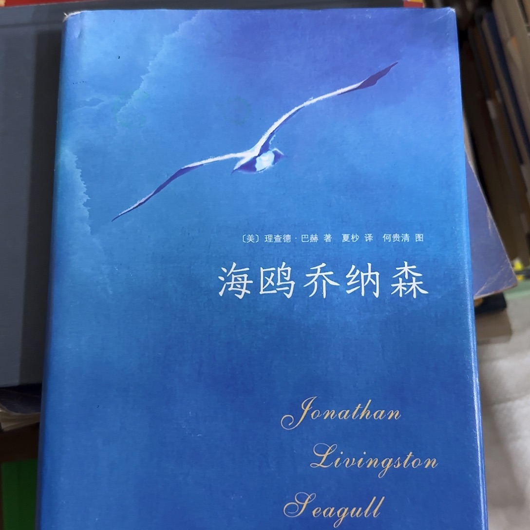 海鸥乔纳森正版二手