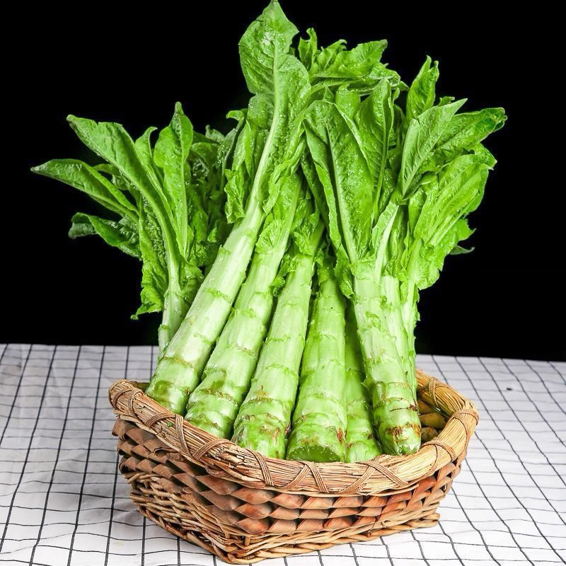 新鲜尖叶莴笋绿心莴苣农家现砍现发时令蔬菜爽口鲜脆可多种烹饪