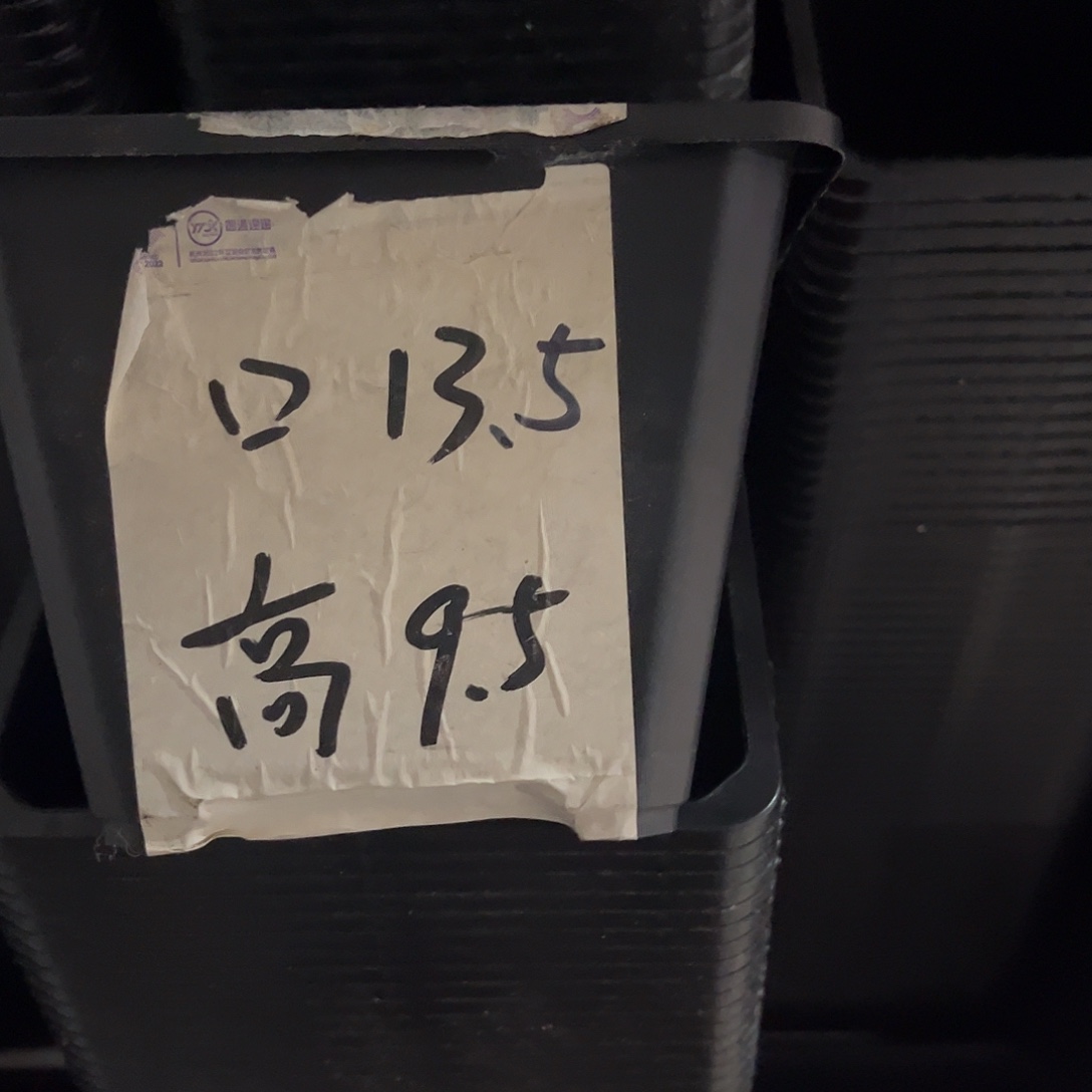 中厚口13高10黑盆20个无托