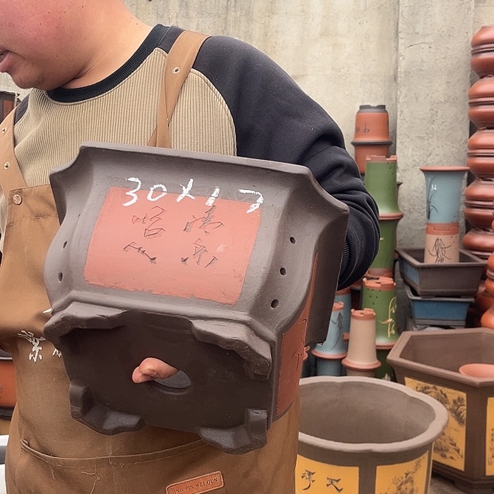 紫砂紫砂花盆盆栽