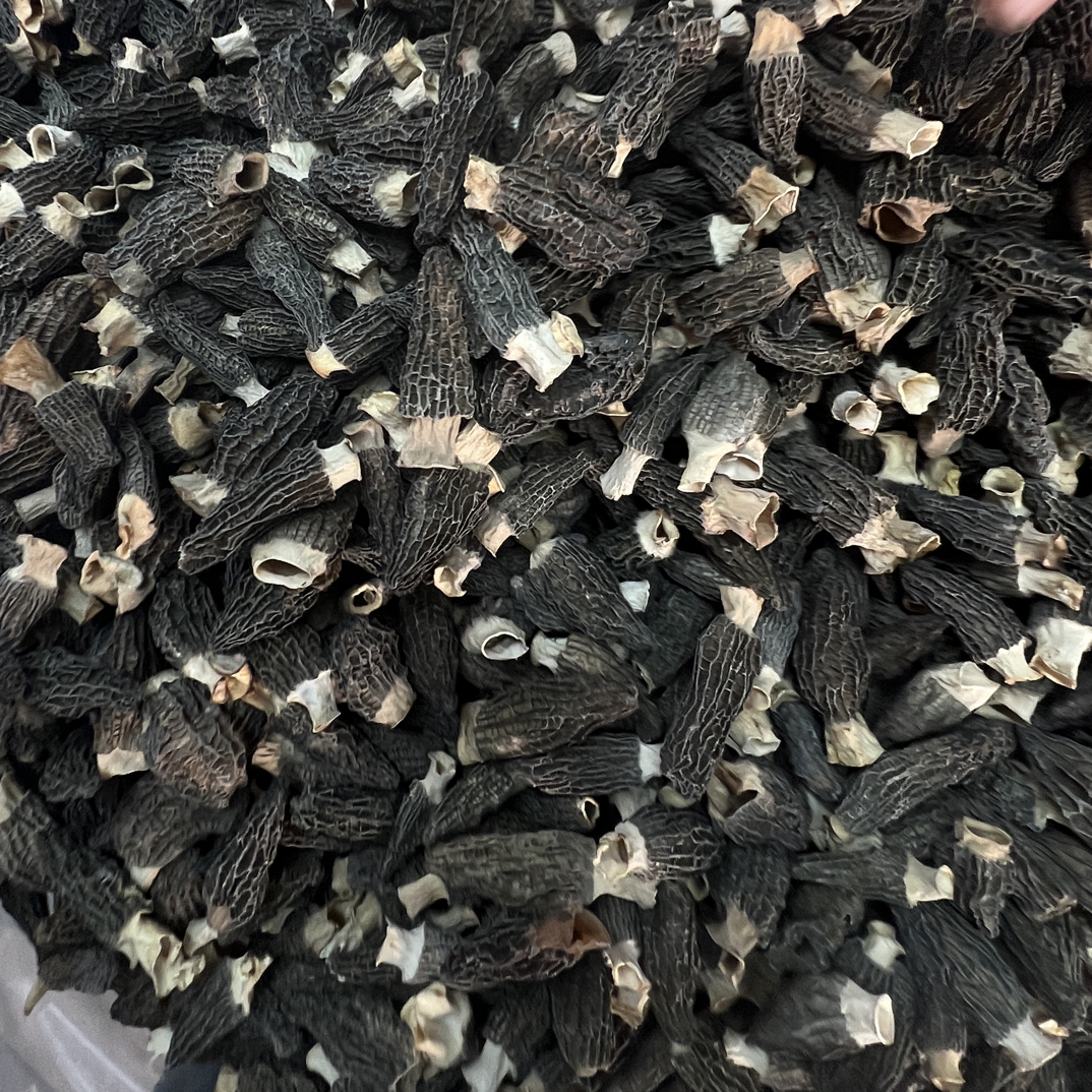 开播福利六妹羊肚菌1201