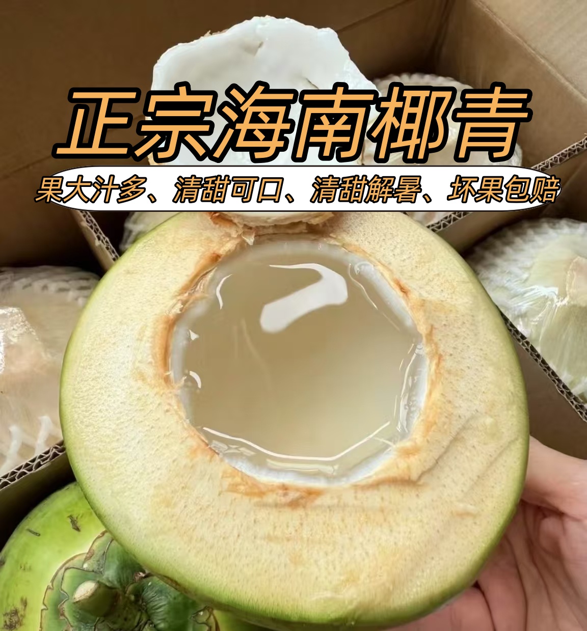海南椰子椰青水果精选大果夏日清甜送开椰器去皮椰子带皮孕妇新鲜