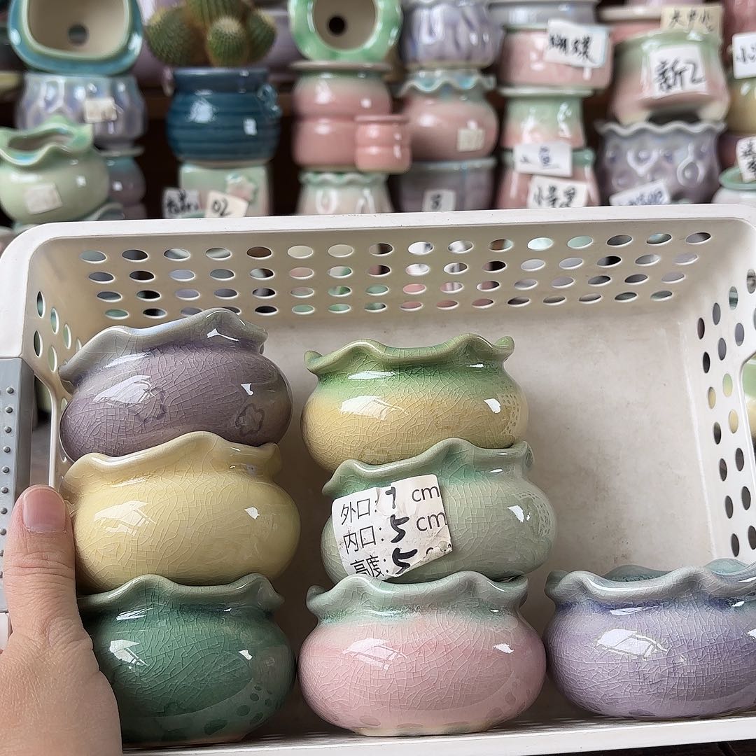 量货/5口高5深浅搭配发6