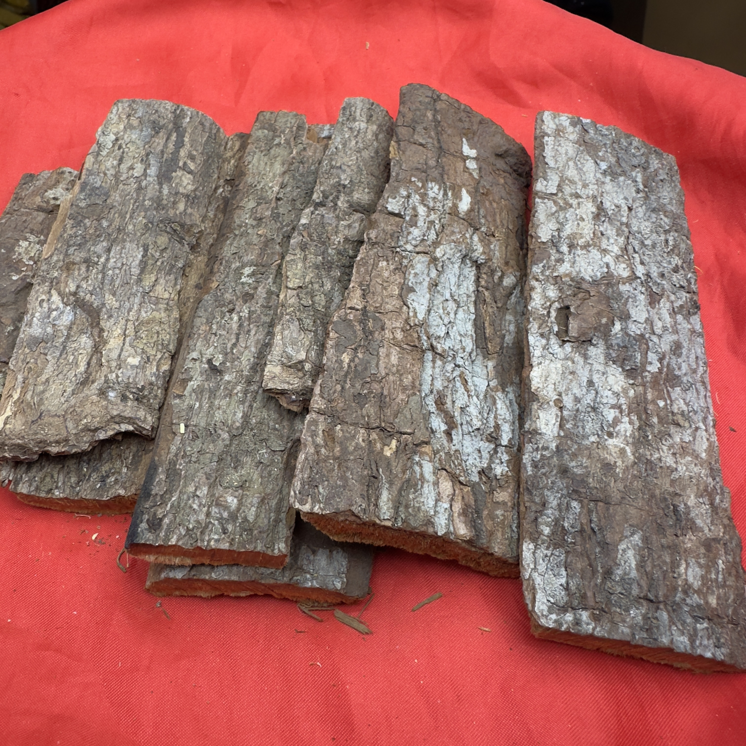 1【K-老-树-皮】净含量100g-500g【丹丹现收】