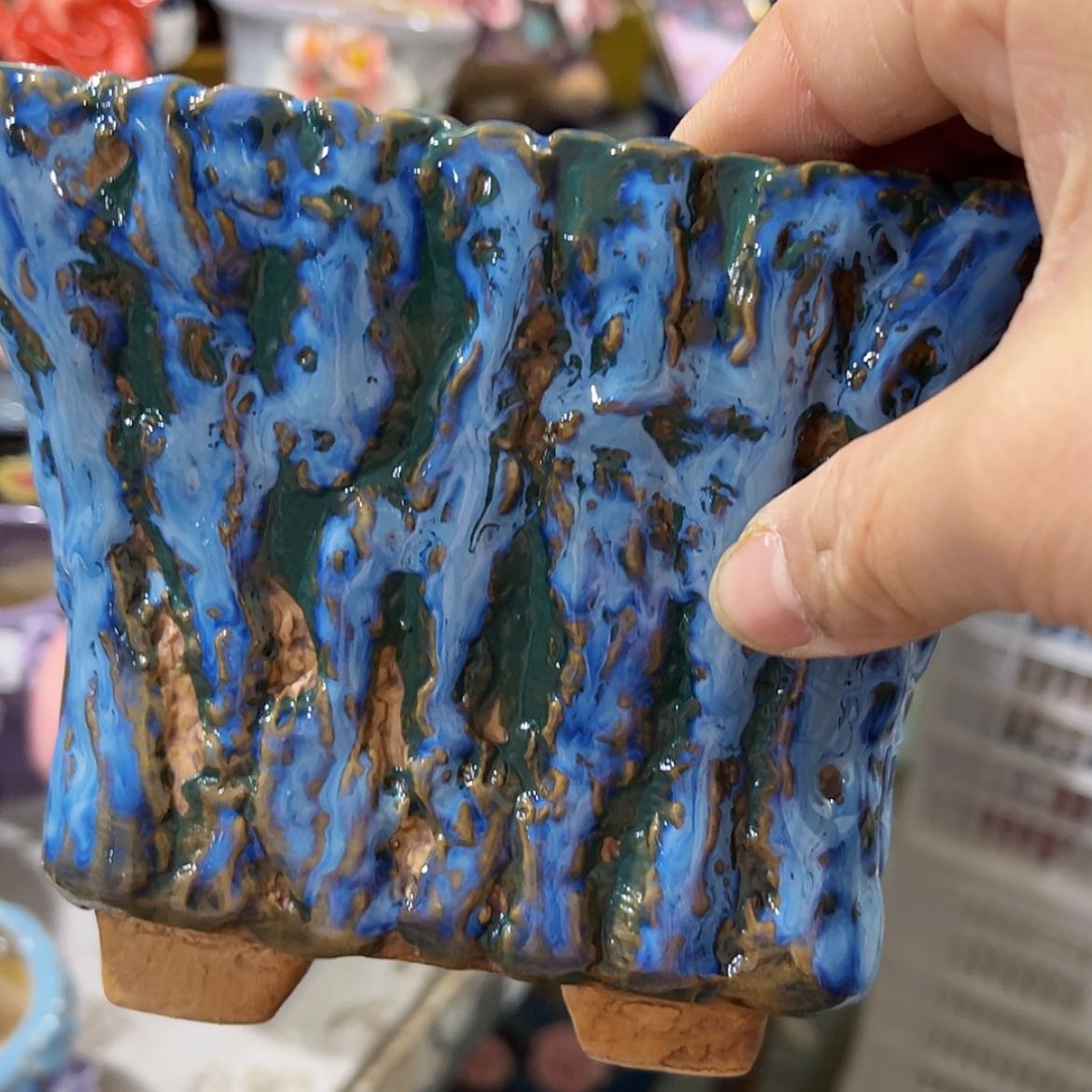 【闪购商品】红陶福利