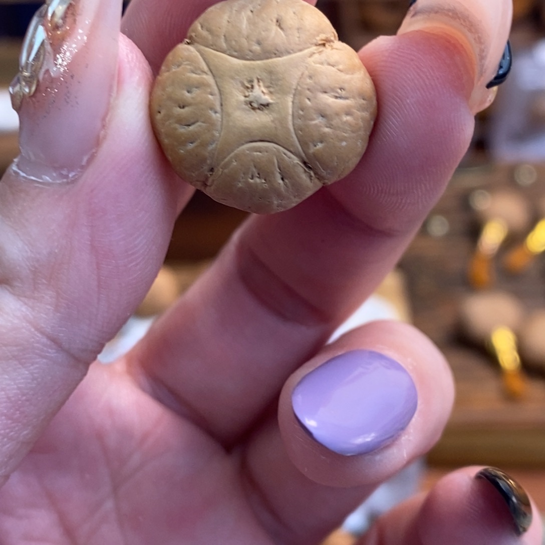 吊坠凤眼菩提19.7麒麟单颗梅花