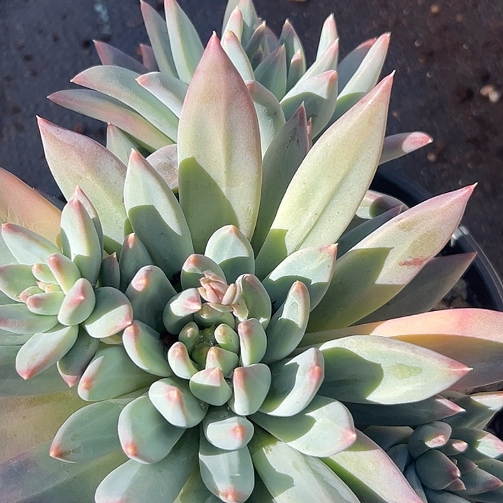 美人特价福利美人美人