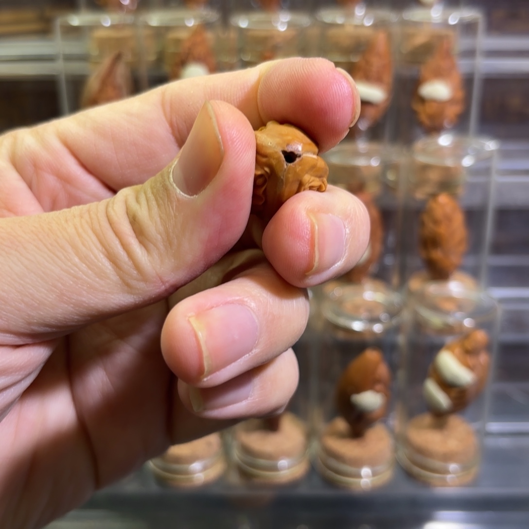 手串/手链橄榄核三面生命单子