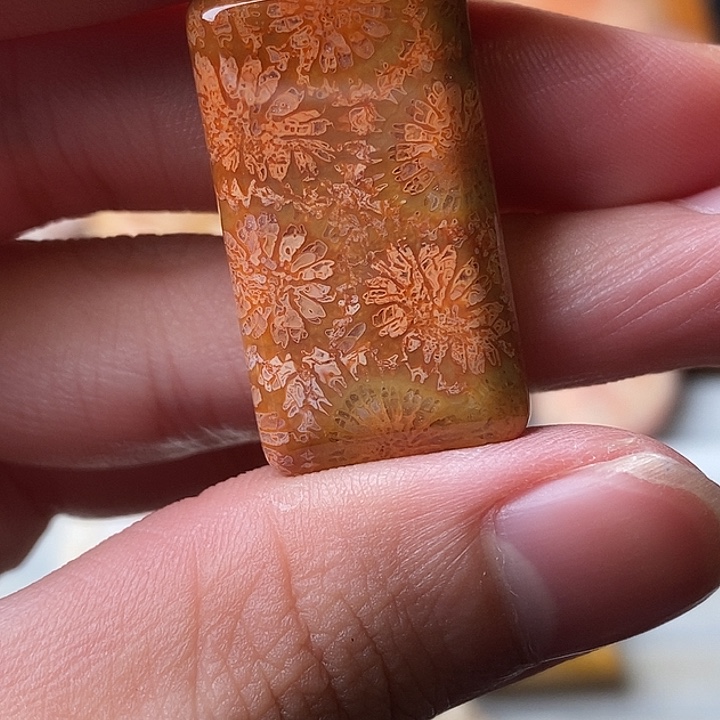 无***夜硅化珊瑚未镶嵌颈饰