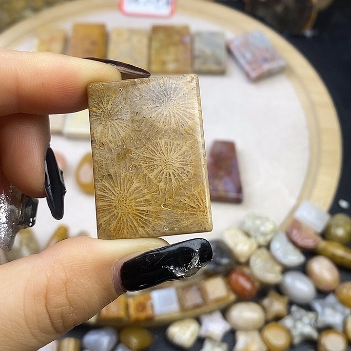 硅化玉未镶嵌颈饰