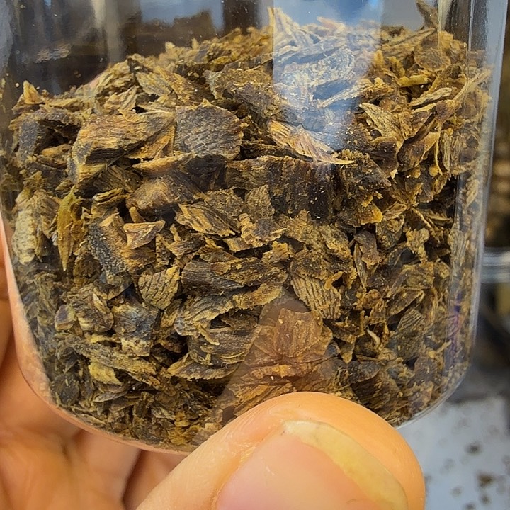 辉***线香棋楠的白棋沉水树丁碎料23克