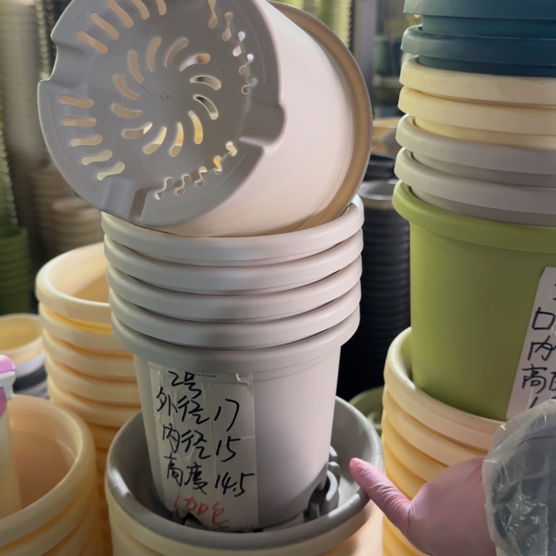 四季2号带托6套灰白