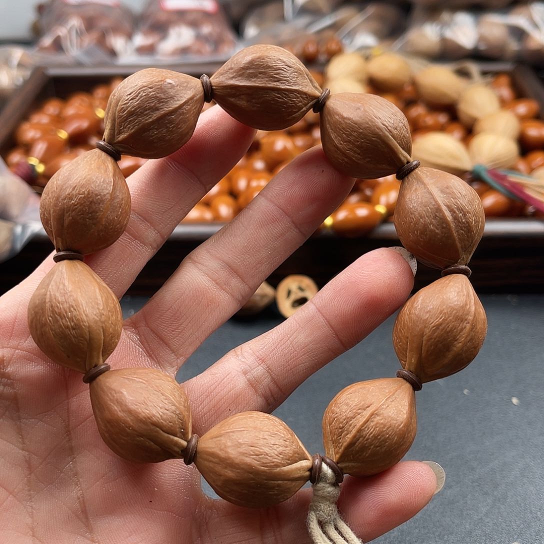 吊坠龙脊菩提橄榄树等树木