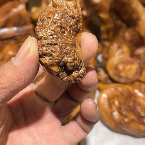 【闪购商品】柏木（崖柏）福*2