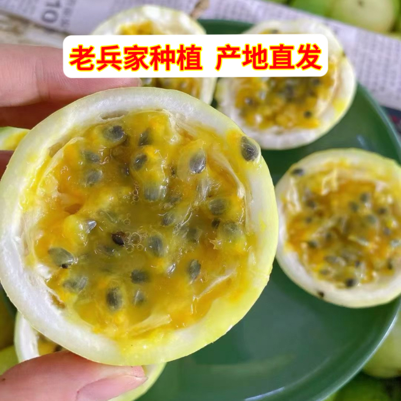 【老兵家百香果】黄金百香果新鲜现摘清甜多汁当季水果