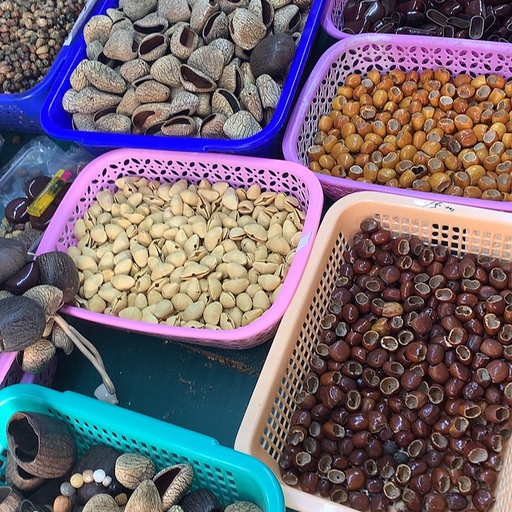 菩提根/象牙果吊坠果壳精挑随机十颗