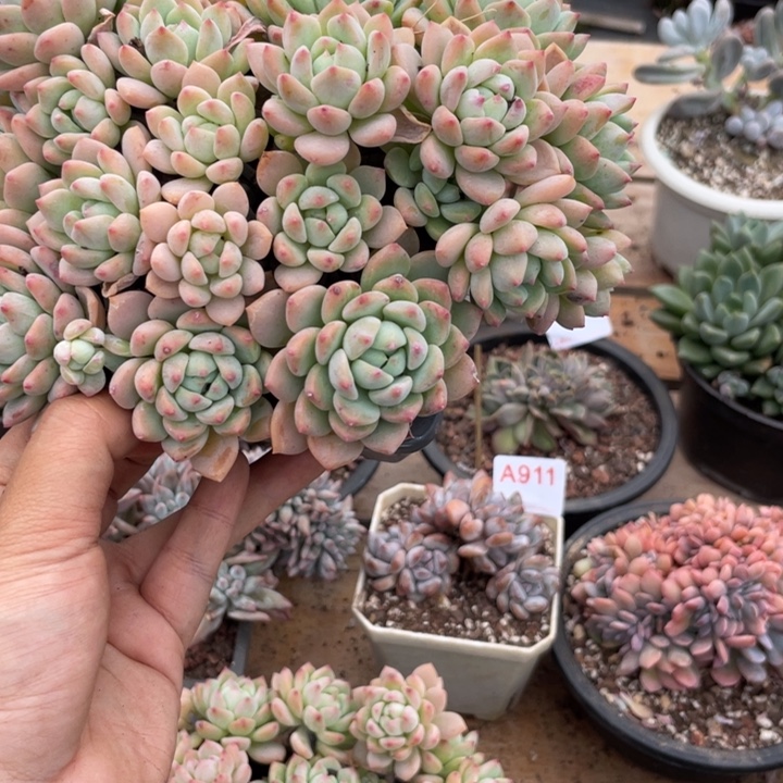 哈哈哈哈哈哈哈哈哈哈哈哈913