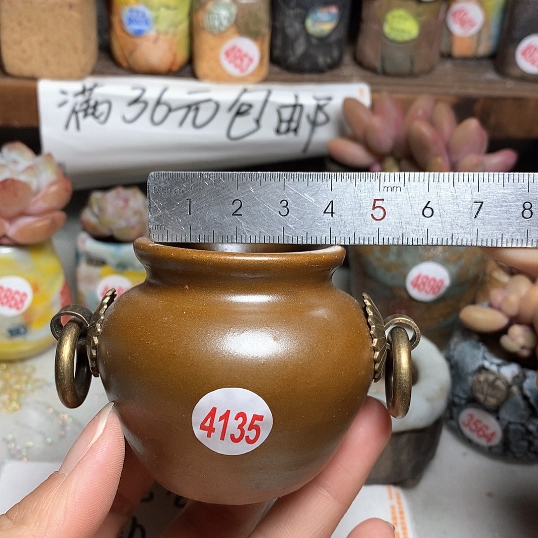 红陶拍5送一个小