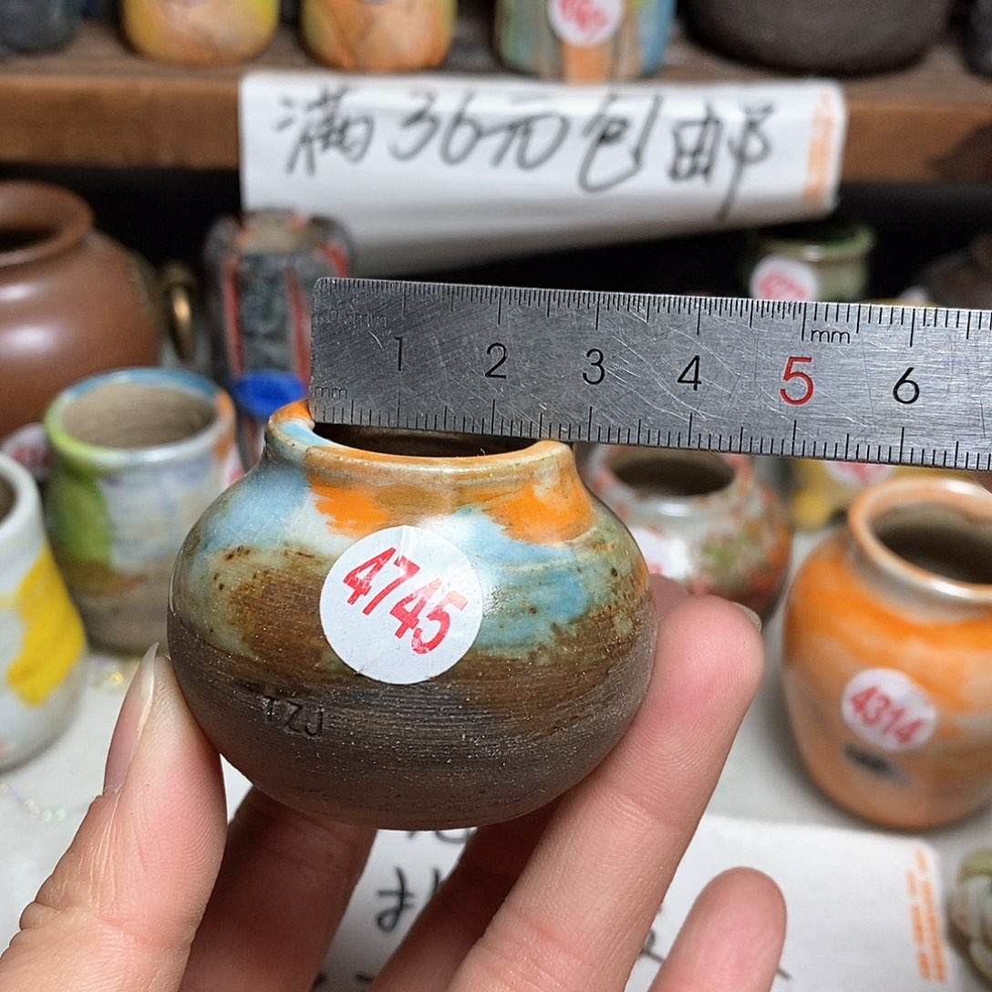 红陶拍5送一个小