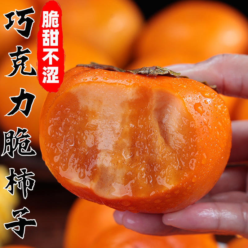 现摘现发山西运城巧克力脆柿阳丰脆柿子脆甜产地直发包邮
