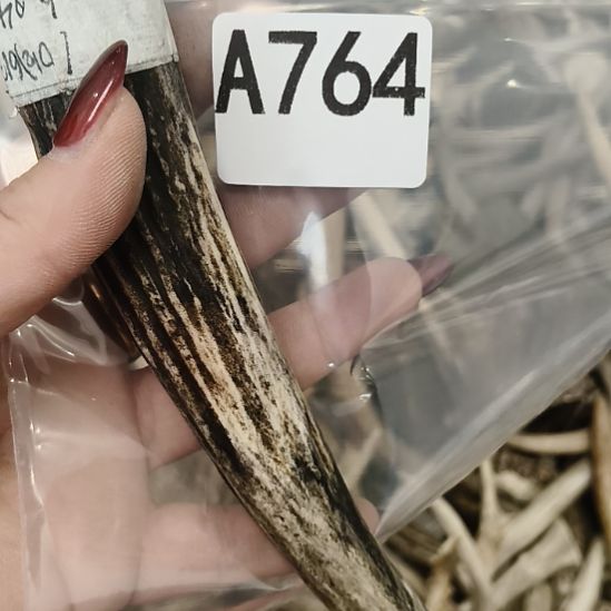 *****鹿角鹿鹿角鹿角鹿角鹿