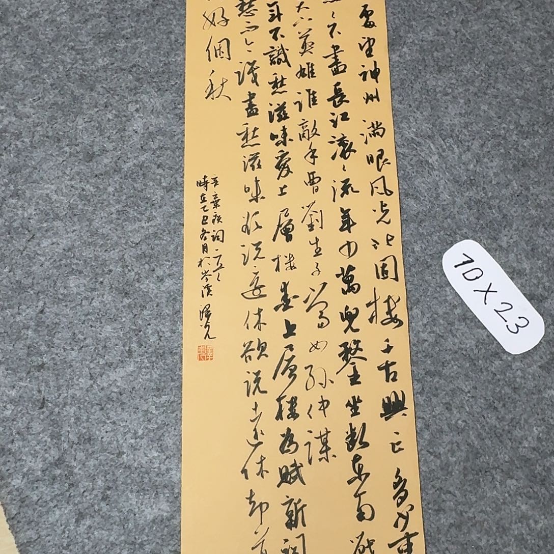 书法国展书家廖老师70×25