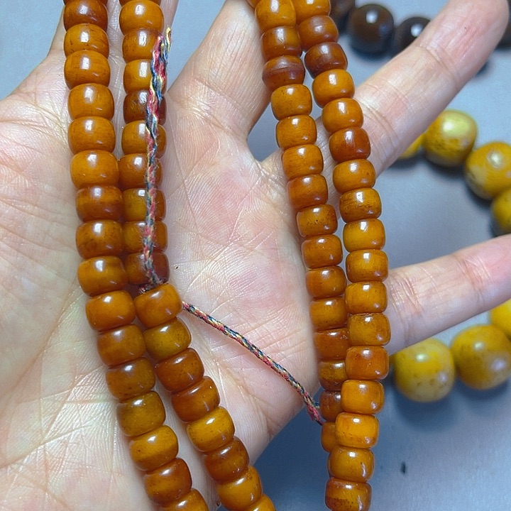 大果紫檀（缅甸花梨）