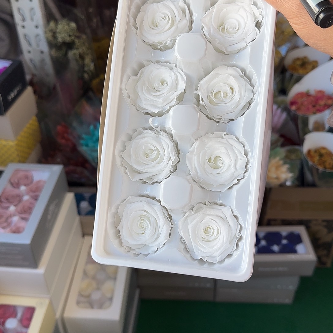 K2号白色8朵玫瑰4-5厘米