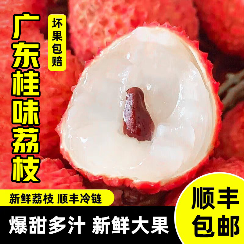 正宗广东桂味荔枝5斤礼盒装新鲜现摘现发【顺丰快递】