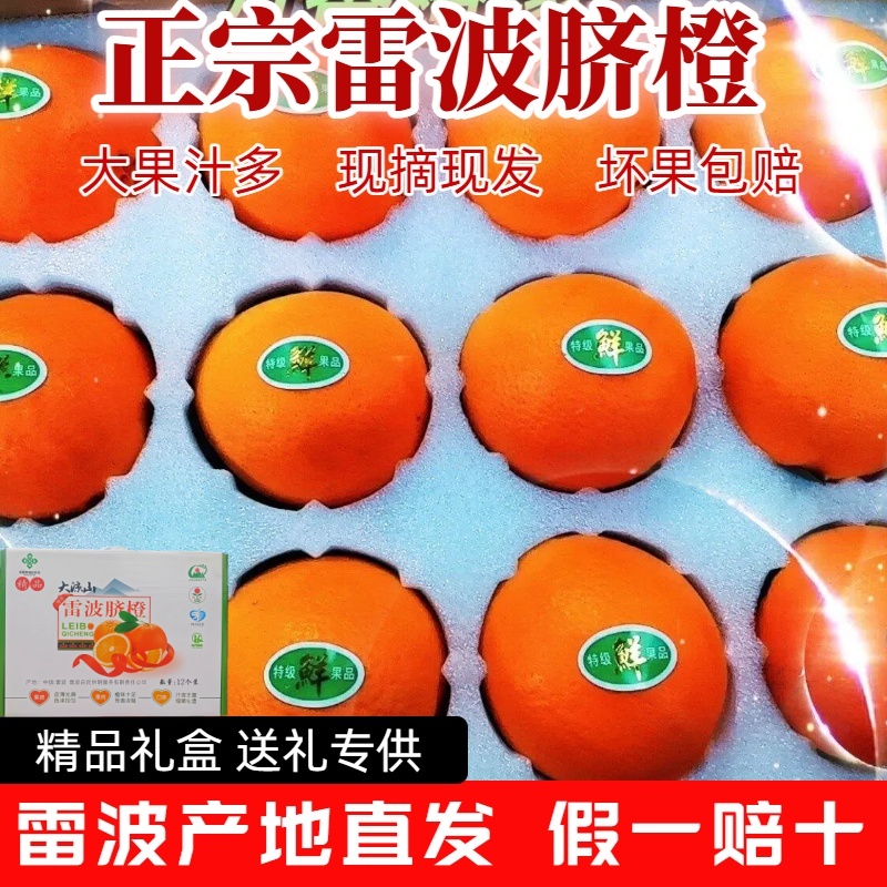 四川正宗雷波脐橙精品礼盒装当季现摘新鲜水果大果皮薄爆汁多超甜