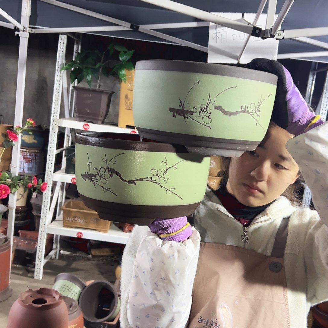 25+25苹果绿萝花盆花盆