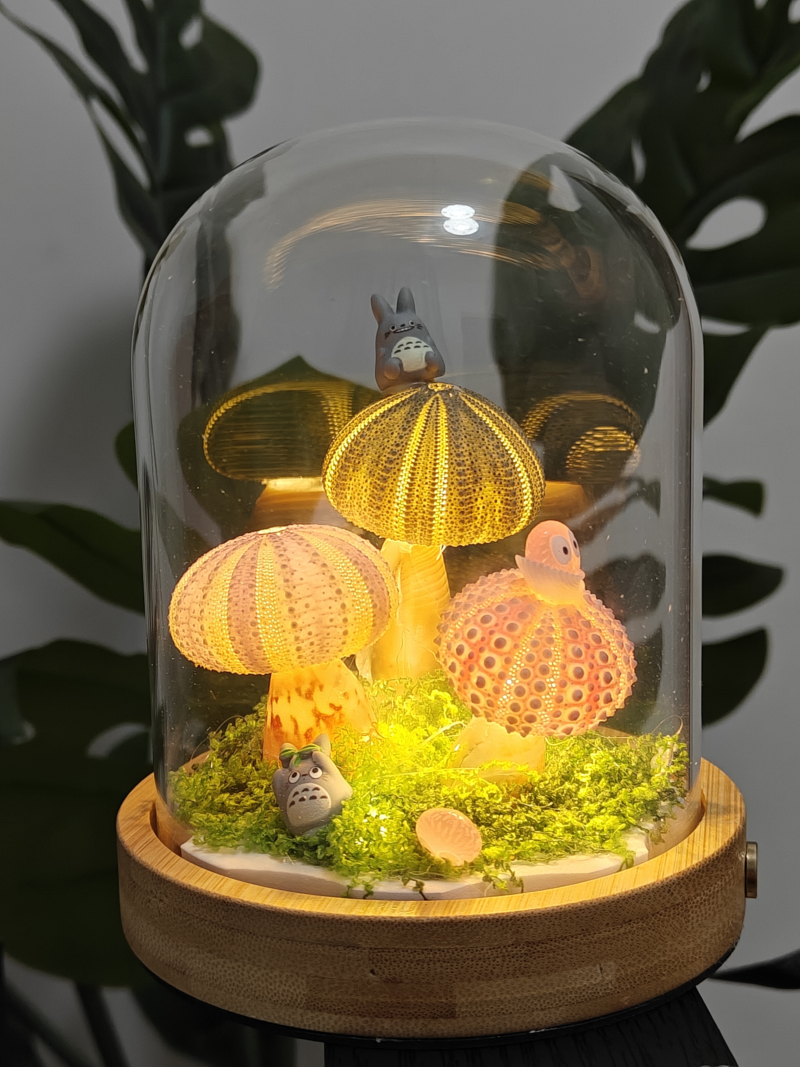 创意贝壳海胆壳小夜灯卧室书房氛围装饰节日生日礼物