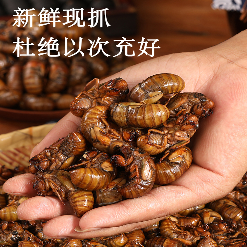 Aa2025年新鲜知了 爬叉猴 特产速冻金蝉爬蚱龟蛹营养美味食用