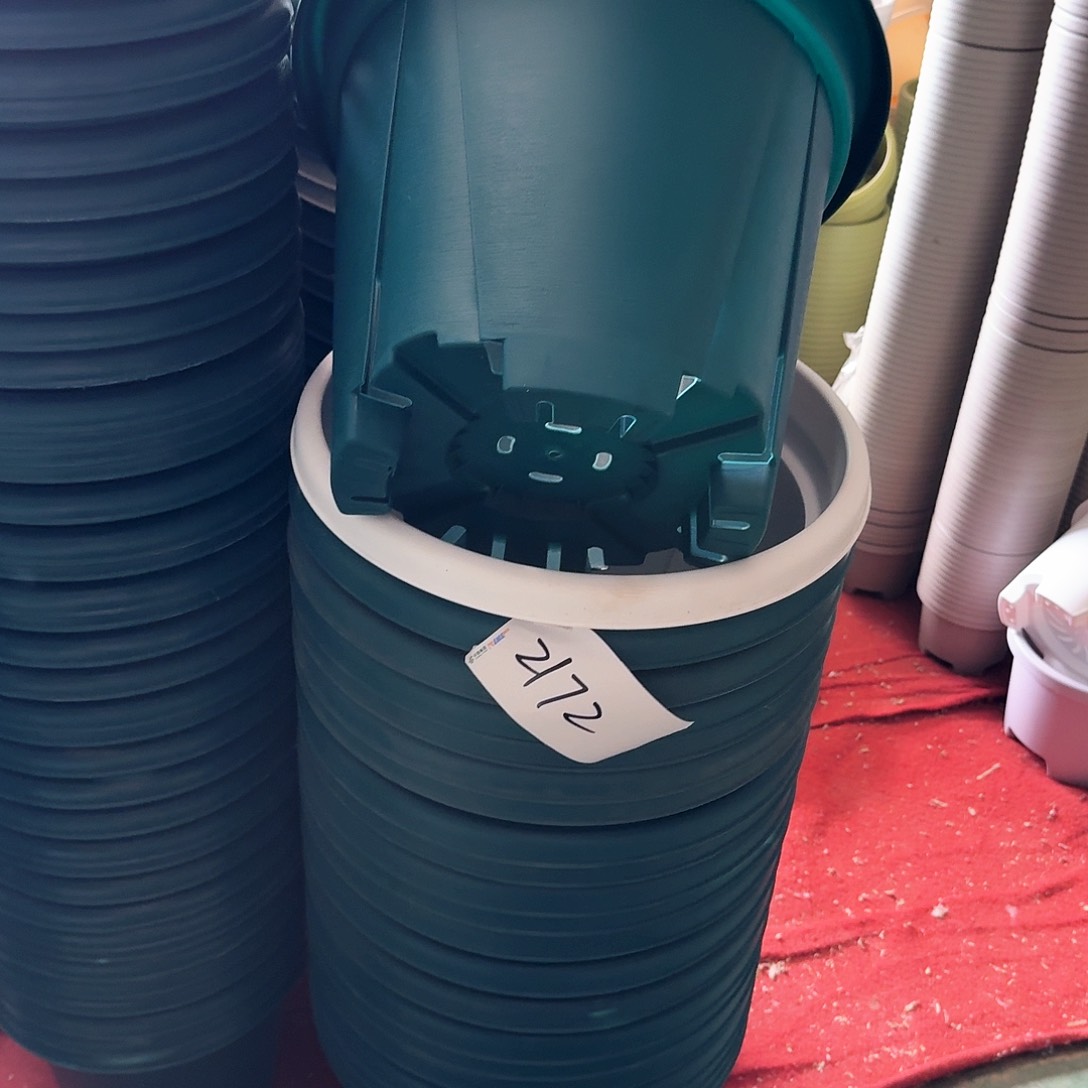 编号2172发5个微瑕无拖