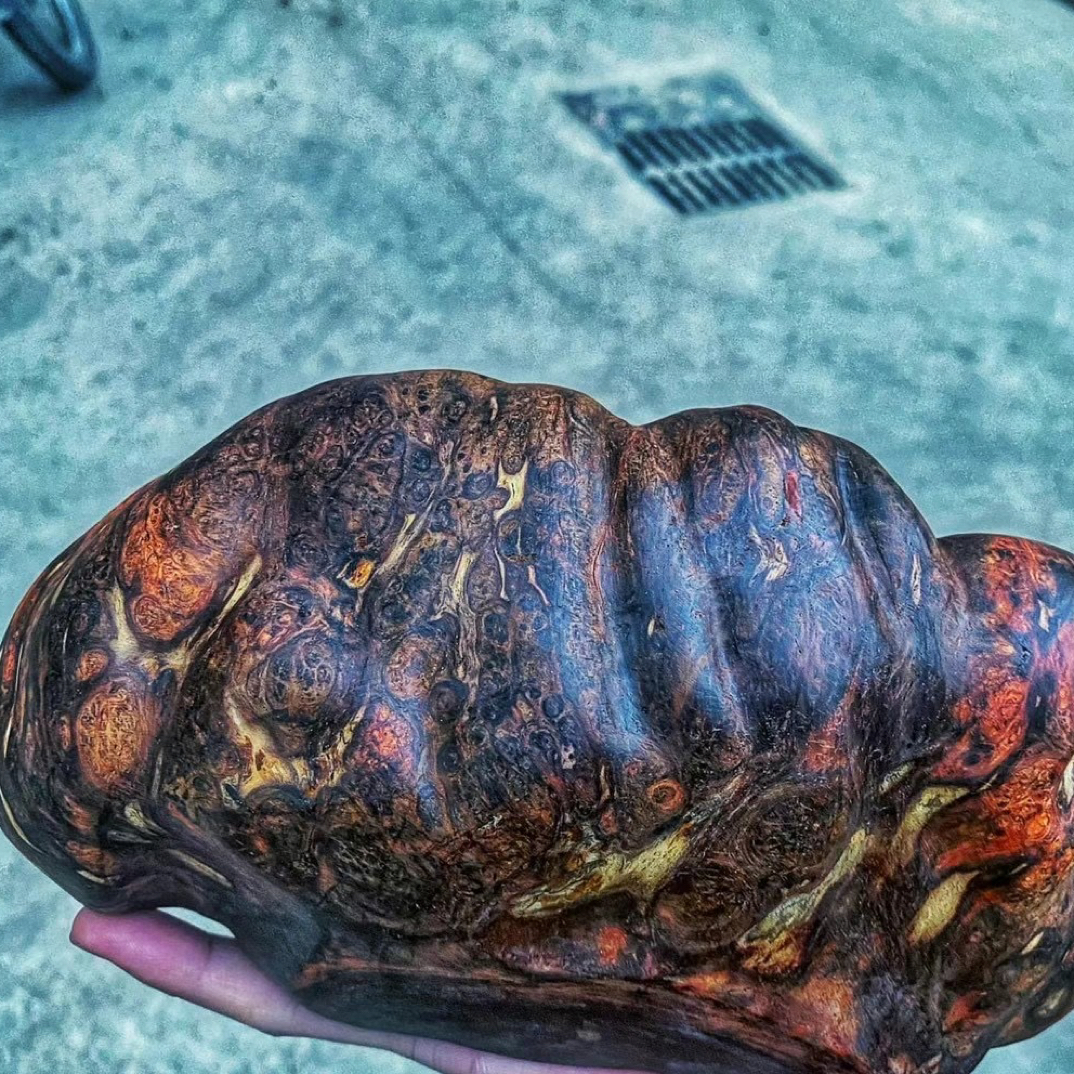 海南原料原木木作木串