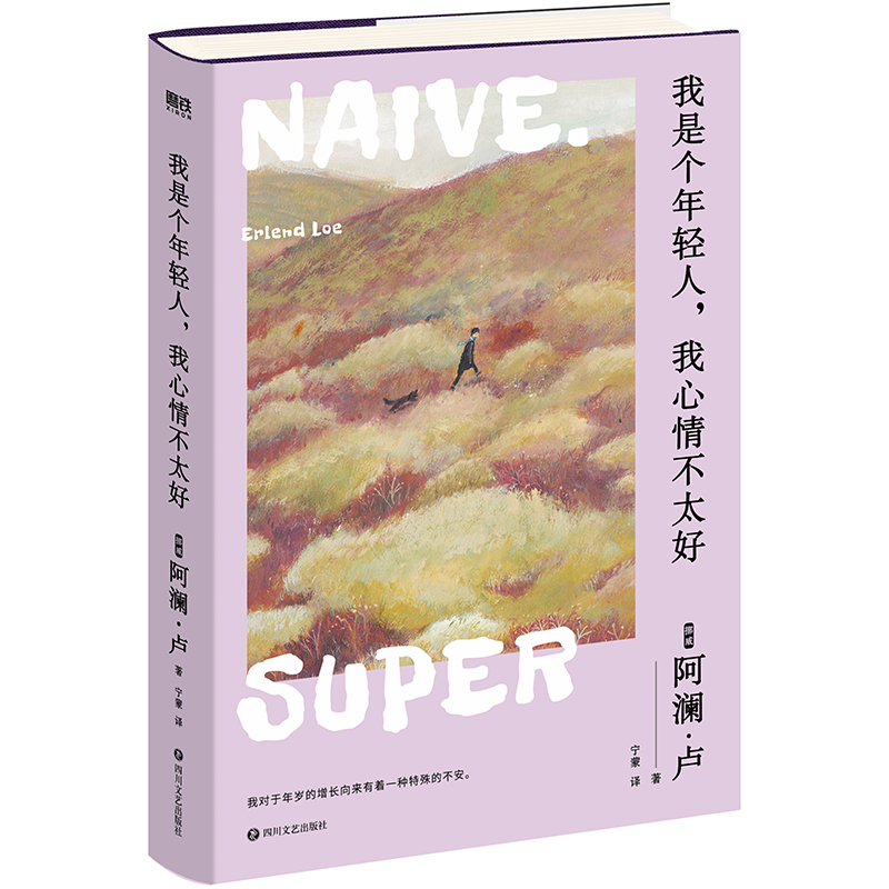 我是个年轻人,我心情不太好 挪威 阿澜 卢 著 宁蒙 译