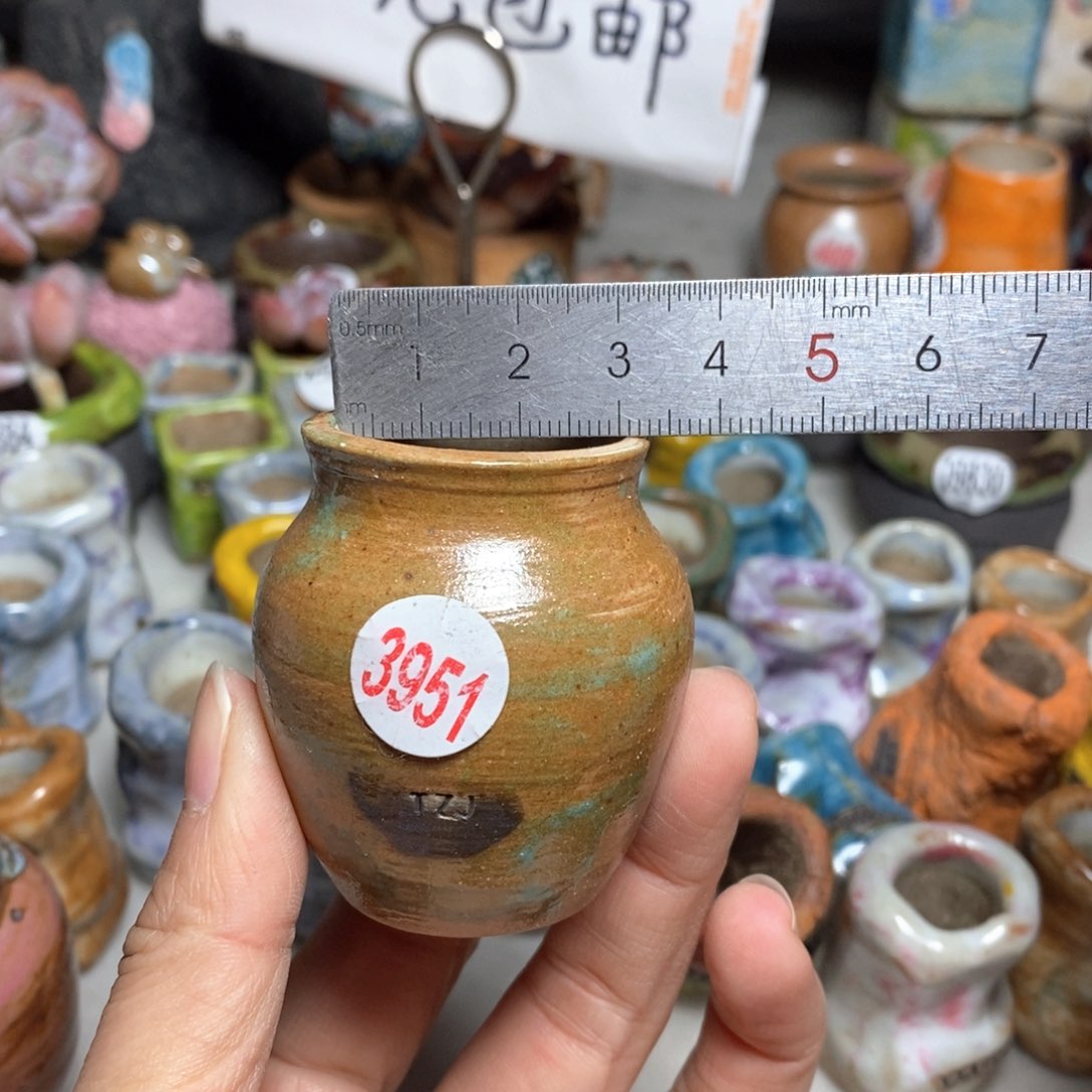 拍5送一个小礼物