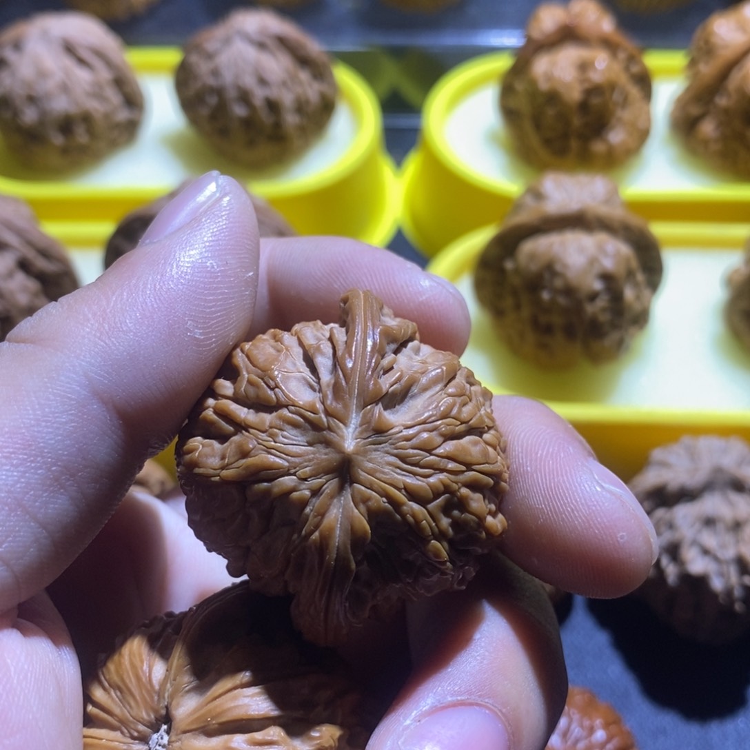 清**酒38磨盘狮子头满肉微修