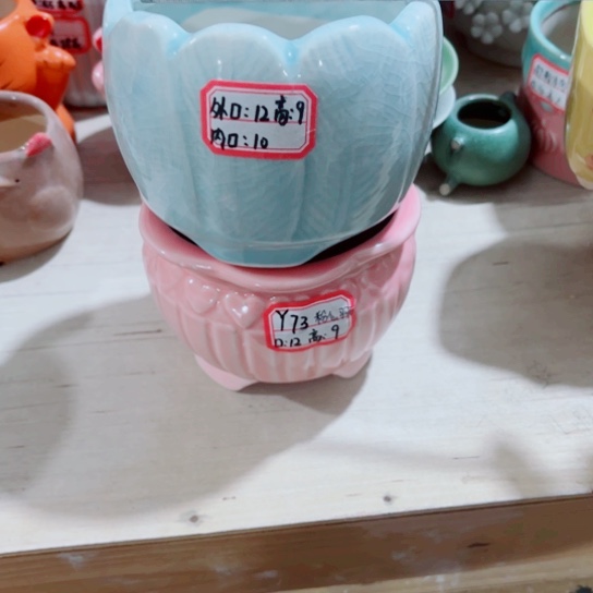 红陶1111111111111111