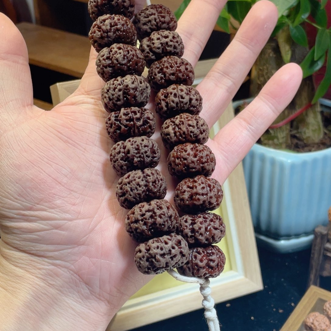 手串金刚菩提全品精挑夹板